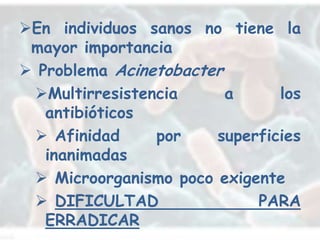 En individuos sanos no tiene la
 mayor importancia
 Problema Acinetobacter
 Multirresistencia      a     los
   antibióticos
  Afinidad     por    superficies
   inanimadas
  Microorganismo poco exigente
  DIFICULTAD               PARA
   ERRADICAR
 