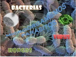 BACTERIAS MICROORGANISMOS PARÁSITOS VIRUS HONGOS 