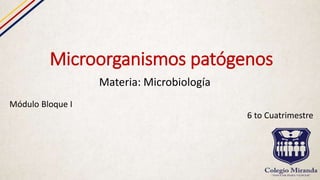 Microorganismos patógenos
Materia: Microbiología
Módulo Bloque I
6 to Cuatrimestre
 