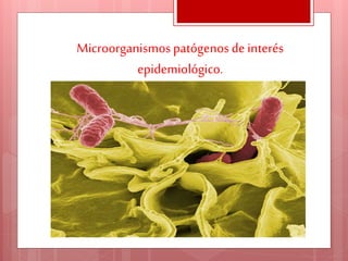Microorganismospatógenosde interés
epidemiológico.
 