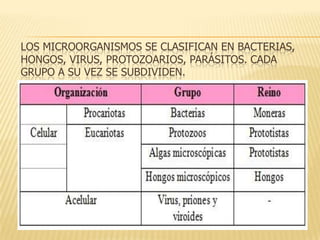 LOS MICROORGANISMOS SE CLASIFICAN EN BACTERIAS,
HONGOS, VIRUS, PROTOZOARIOS, PARÁSITOS. CADA
GRUPO A SU VEZ SE SUBDIVIDEN.

 