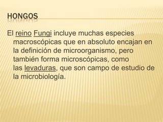HONGOS
El reino Fungi incluye muchas especies
macroscópicas que en absoluto encajan en
la definición de microorganismo, pero
también forma microscópicas, como
las levaduras, que son campo de estudio de
la microbiología.

 