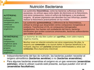 Nutrición Bacteriana
 Independientemente del tipo de nutrición, las bacterias pueden necesitar el
oxígeno atmosférico (bacterias aerobias) o no (bacterias anaerobias).
 Para algunas bacterias anaerobias el oxígeno es un gas venenoso (anaerobias
estrictas), otras lo utilizan cuando esté presente, aunque pueden vivir sin él
(anaerobias facultativas).
AUTÓTROFAS:
Emplean
compuestos
inorgánicos para
sintetizar
compuestos
orgánicos
Las autótrofas fotosintéticas, como las bacterias sulfurosas verdes y
purpúreas, no utilizan agua como dador de electrones en la fotosíntesis,
sino otros compuestos, como el sulfuro de hidrógeno, y no producen
oxígeno. Al poseer pigmentos que absorben luz casi infrarroja, pueden
realizar la fotosíntesis prácticamente sin luz visible.
Las autótrofas quimiosintéticas, a diferencia de las fotosintéticas,
utilizan la energía que desprenden ciertos compuestos inorgánicos al
oxidarse. Transforman el CO2 en compuestos hidrogenados
(anabolismo). Sus fuentes son oxidadación del hierro, bacterias
nitrificantes que oxidan sustancias amoniacales, bacterias sulfooxidantes
que oxidan el azufre.
HETERÓTROFAS:
Emplean
compuestos
orgánicos para
sintetizar sus
propios
compuestos
orgánicos
Las bacterias de vida libre suelen ser saprófitas, viven sobre materia
orgánica muerta.
Muchas viven en relación estrecha con otros organismos De ellas, la
mayoría son comensales y no causan daños ni aportan beneficios a su
huésped, algunas son parásitas (producen enfermedades) y otras son
simbiontes (flora bacteriana intestinal)
 