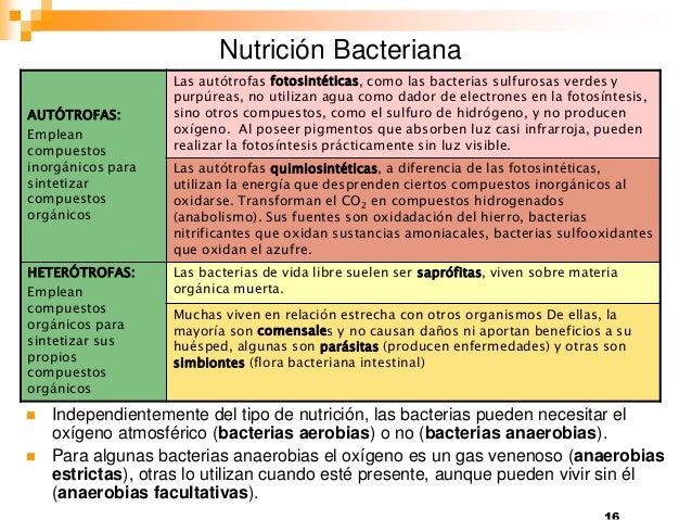 Nivel Celular Bacterias