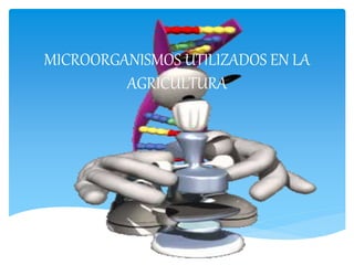 MICROORGANISMOS UTILIZADOS EN LA
AGRICULTURA
 