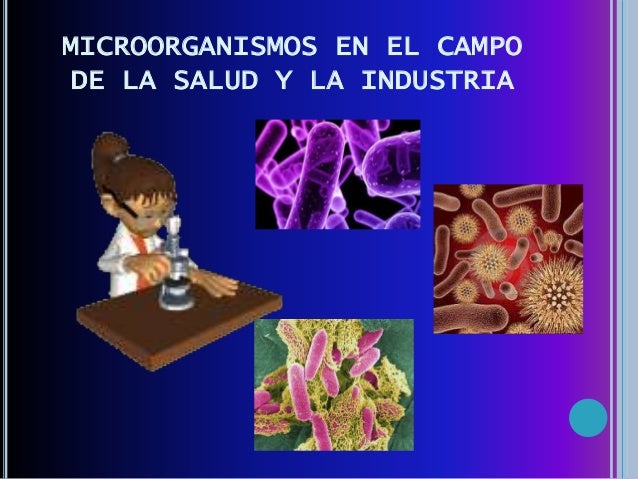 utilizados en la industria