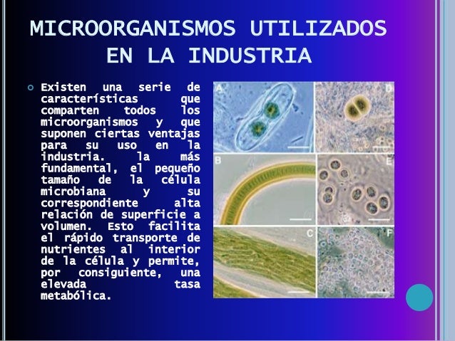 utilizados en la industria