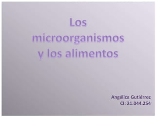 Angélica Gutiérrez
CI: 21.044.254
 
