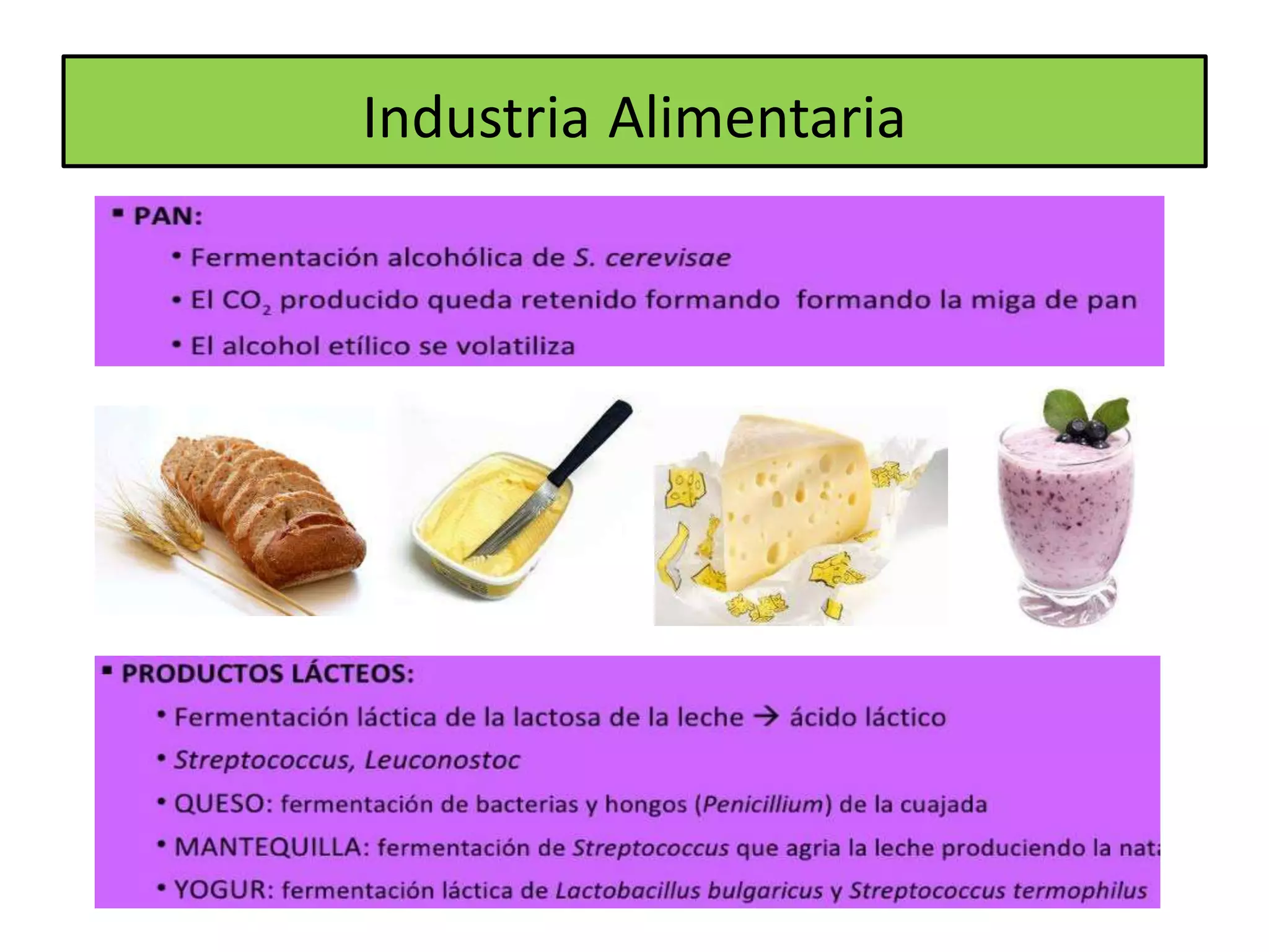Microorganismos y alimentos | PPTX