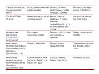 Microorganismos y alimentos | PPTX