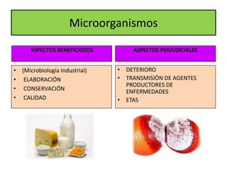 Microorganismos y alimentos | PPTX