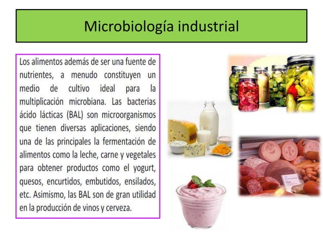 Microorganismos y alimentos | PPTX