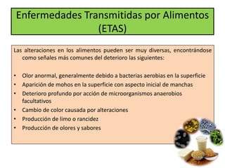 Microorganismos y alimentos | PPTX