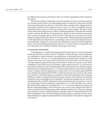 Microorganisms 2021, 9, 2538 11 of 17
pre-FMT protocol and was intended to allow for a better engraftment of the transferred
microbiota.
Of note, the viromes of responders and non-responders so far have not been analyzed,
so it remains unclear if there are certain phage species or eukaryotic viruses that correlate
with successful treatment. However, it has been shown recently that a phage-specific T
cell epitope is linked to PD-1 responsiveness in mice [113]. This T cell epitope has been
proposed to induce memory T cells cross-reacting with a tumor antigen. This opens up the
avenue that certain phage species could be used therapeutically to stimulate the immune
system to enhance the efficacy of immunotherapy. Moreover, the microbiota of responders
may contain such phage species which activate T cells that are cross-reactive to tumor
antigens; phages that may be absent in non-responders. Modulating phage populations
of non-responders may therefore be a promising avenue to increase responsiveness to
immunotherapy. Eukaryotic viruses may also contribute to responsiveness through their
known roles in modulating the immune system [114]. Virome analyses of responders and
non-responders are warranted to identify such phages and viruses.
5. Conclusions and Outlook
Carcinogenesis is a multifactorial process that involves genetic and environmental
factors, the microbiota, and the virome [115] (Figure 8). Both eukaryotic viruses and phages
can contribute to cancer formation and progression, as discussed herein, through vari-
ous mechanisms. Of note, we are only beginning to understand the complexity of the
human virome, and new viruses will be discovered in the ‘dark matter’ of so far unknown
virus-like sequences generated during virome analyses. These may include viruses which
contribute to cancer that we may, for instance, ingest with our food [116], or the more re-
cently discovered giant viruses including Mimiviridae and Phycodnaviridae whose oncogenic
potential may be underestimated [117,118]. Knowing the identity of potential oncogenic
viruses would provide the opportunity for intervention and vaccination approaches that
have already been implemented for HPV to effectively prevent cervical cancer. The virome
may also play a role in the response of patients to cancer immunotherapy with checkpoint
inhibitors; similar to beneficial bacterial taxa that correlate with response to treatment,
beneficial viruses and phages may be identified. In particular, phages may be crucial in
mediating the effects of FMT, a therapeutic intervention that has shown promise to ‘convert’
non-responders to immune therapy to responders [105,106]. We and others have shown
that during FMT, phages are transmitted [100–102,119]. In some indications, sterile fecal
filtrates (containing phages, but not bacteria) may even be more efficient than FMT, as
shown recently for necrotizing enterocolitis of preterm infants [120]. The role of phages
and eukaryotic viruses in determining the responder status to immunotherapy has not
been investigated to date. This knowledge may help to improve response rates for cancer
immunotherapy by targeted supplementation and modulation of the patients’ phageomes
and viromes.
 
