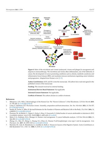 Microorganisms 2021, 9, 2538 12 of 17
therapy to responders [105,106]. We and others have shown that during FMT, phages are
transmitted [100–102,119]. In some indications, sterile fecal filtrates (containing phages, but
not bacteria) may even be more efficient than FMT, as shown recently for necrotizing
enterocolitis of preterm infants [120]. The role of phages and eukaryotic viruses in
determining the responder status to immunotherapy has not been investigated to date. This
knowledge may help to improve response rates for cancer immunotherapy by targeted
supplementation and modulation of the patients’ phageomes and viromes.
Figure 8. Roles of the microbiota and virome (eukaryotic viruses and phages) in oncogenesis and
response to immunotherapy. The microbiota and virome affect inflammation, one of the hallmarks of
cancer, the development of cancer-promoting conditions such as obesity, metabolic syndrome and
inflammatory bowel disease (IBD), and modulate immune mechanisms regulating cancer initiation and
progression. Adapted from Dzutsev et al. [115].
Author Contributions: K.M. and F.B. wrote the manuscript. All authors have read and agreed to the
published version of the manuscript.
Funding: This research received no external funding.
Institutional Review Board Statement: Not applicable.
Informed Consent Statement: Not applicable.
Conflicts of Interest: The authors declare no conflict of interest.
Figure 8. Roles of the microbiota and virome (eukaryotic viruses and phages) in oncogenesis and
response to immunotherapy. The microbiota and virome affect inflammation, one of the hallmarks of
cancer, the development of cancer-promoting conditions such as obesity, metabolic syndrome and
inflammatory bowel disease (IBD), and modulate immune mechanisms regulating cancer initiation
and progression. Adapted from Dzutsev et al. [115].
Author Contributions: K.M. and F.B. wrote the manuscript. All authors have read and agreed to the
published version of the manuscript.
Funding: This research received no external funding.
Institutional Review Board Statement: Not applicable.
Informed Consent Statement: Not applicable.
Conflicts of Interest: The authors declare no conflict of interest.
References
1. Shkoporov, A.N.; Hill, C. Bacteriophages of the Human Gut: The “Known Unknown“ of the Microbiome. Cell Host Microbe 2019,
25, 195–209. [CrossRef] [PubMed]
2. Liang, G.; Bushman, F.D. The human virome: Assembly, composition and host interactions. Nat. Rev. Microbiol. 2021, 19, 514–527.
[CrossRef] [PubMed]
3. Sender, R.; Fuchs, S.; Milo, R. Revised Estimates for the Number of Human and Bacteria Cells in the Body. PLoS Biol. 2016, 14,
e1002533. [CrossRef] [PubMed]
4. Plummer, M.; de Martel, C.; Vignat, J.; Ferlay, J.; Bray, F.; Franceschi, S. Global burden of cancers attributable to infections in 2012:
A synthetic analysis. Lancet Glob. Health 2016, 4, e609–e616. [CrossRef]
5. Mesri, E.A.; Feitelson, M.A.; Munger, K. Human viral oncogenesis: A cancer hallmarks analysis. Cell Host Microbe 2014, 15,
266–282. [CrossRef] [PubMed]
6. Zhang, L.L.; Wie, J.Y.; Wang, L.; Huang, S.L.; Chen, J.L. Human T-cell lymphotropic virus type 1 and its oncogenesis. Acta
Pharmacol. Sin. 2017, 38, 1093–1103. [CrossRef] [PubMed]
7. Marônek, M.; Link, R.; Monteleone, G.; Gardlík, R.; Stolfi, C. Viruses in Cancers of the Digestive System: Active Contributors or
Idle Bystanders? Int. J. Mol. Sci. 2020, 21, 8133. [CrossRef] [PubMed]
 