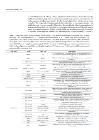 Microorganisms 2021, 9, 2538 2 of 17
as human herpesvirus 4, HHV4). Of note, infections with these viruses does not necessarily
lead to cancer. Rather, they often are one of many contributing factors to carcinogenesis. As
such, virus-associated cancers typically develop as part of persistent infections over many
years [5]. The proposed mechanisms of viral contributions to carcinogenesis also vary
widely between viral species and will be briefly discussed in the following subsections. In
general, viral infections can contribute to carcinogenesis by any of the following mecha-
nisms: insertional mutation in the host genome, induction of inflammation and modulation
of signaling pathways in the infected cells, for example, by viral oncogenes [6,7] (Figure 1).
Table 1. Eukaryotic viruses linked to cancer. Abbreviations: ATLL, adult T-cell leukemia/lymphoma; BKV; BK poly-
omavirus; CMV, cytomegalovirus; CTCL, cutaneous T-cell lymphoma; DLBCL, diffuse large B-cell lymphoma; EBV,
Epstein–Barr virus; HBoV; human bocavirus; HBV, hepatitis B virus; HCC, hepatocellular carcinoma; HCV, hepatitis C
virus; HHV, human herpesvirus; HIV, human immunodeficiency virus; HPV, human papillomavirus; HSV, herpes simplex
virus; HTLV-1, human T-lymphotropic virus type 1; JCV, JC polyomavirus; KSHV, Kaposi sarcoma-associated herpesvirus;
MCV, Merkel cell polyomavirus; NHL, non-Hodgkin lymphoma; PTCL, peripheral T-cell lymphoma; SCC, squamous cell
carcinoma; TTV, torque teno virus.
Virus Family Virus Cancer Type Observations
Papillomaviridae
HPV-16 Anal
HPV, especially HPV-16, is a possible risk factor for anal and rectal cancer [8,9]
and a significant prognostic marker, especially for locally advanced disease
[10]
HPV Bladder
HPV (different serotypes) may be linked to bladder cancer in a small number
of cases [11]
HPV-16, -18 Cervical
Association between infection with high-risk HPV serotype (mainly HPV-16
and-18) and development of cervical cancer [11–13]
HPV-18 Colorectal
HPV, especially HPV-18, is a possible risk factor for colorectal cancer [14,15],
however, another study found no association [16]
HPV-16, -18, -26, -57 Esophageal
HPV-16 is a risk factor for esophageal carcinoma [17,18]; HPV infection
(mainly HPV-16, -18, -26 and-57) is common in esophageal carcinoma [19]
HPV-16 Head and neck (SCC)
HPV infection, especially HPV-16, is associated with head and neck cancer
[11,20,21] and better long-term outcome [22]
HPV-6 Oral Association of HPV-6 with oral cancer [23]
HPV-16 Prostate Association of HPV-16 with prostate cancer [24]
HPV-16, -18, -58 Renal Association of HPV-16, -18 and-58 with renal cell carcinoma [25]
HPV-5, -8 Skin and mucosal
Papillomavirus DNA frequently detected in skin-and mucosa-associated
cancers [26]; HPV-5 and-8 are associated with epidermodysplasia
verruciformis associated with a high risk of skin cancer [27,28]
HPV-16 Vulvar
Association between HPV, especially HPV-16, and vulvar squamous cell
carcinoma [29]
Herpesviridae
CMV (HHV5) Colorectal
CMV DNA is more abundant cancer tissues compared to healthy tissues [30];
CMV-positive tumors in non-elderly patients are associated with increased
disease-free survival rate [31]; specific genetic polymorphisms of CMV are
linked to different clinical outcomes [32]
EBV (HHV4) Colorectal
Possible association of EBV with colorectal carcinoma [33], however, no
association found in another study [16]
EBV (HHV4) Esophageal EBV is associated with esophageal cancer [34]
EBV (HHV4) Gastric
Possible involvement of EBV in gastric cancer and precursor lesions [35];
patients with EBV-positive gastric cancer had a better response to
chemotherapy and better survival [36]
EBV (HHV4) Hepatic EBV infections detected in HCC tissues [37]
EBV (HHV4) Lymphoma (Burkitt) EBV infections contribute to Burkitt lymphoma [38]
EBV (HHV4) Lymphoma (DLBCL) EBV RNA detected in B-cell lymphoma samples [39]
EBV (HHV4) Lymphoma (PTCL)
EBV expression associated with some subtypes of peripheral T-cell
lymphomas [40]
EBV (HHV4) Oral
Higher proportion of EBV-positive oral squamous cell carcinoma in
industrialized countries [41]
EBV (HHV4) Skin and mucosal EBV DNA frequently detected in skin and mucosal cancers [26]
HHV6 Lymphoma (DLBCL) HHV6 RNA detected in B-cell lymphoma samples [39]
HHV6 Malignant melanoma HHV6 DNA frequently detected in malignant melanoma [26]
HHV7 Bladder HHV7 DNA frequently detected in bladder cancer [26]
HHV7 Lymphoma (CTCL)
HHV7 DNA frequently detected in cutaneous T-cell lymphoma (Mycosis
fungoides) [26]
 