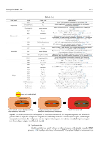 Microorganisms 2021, 9, 2538 3 of 17
Table 1. Cont.
Virus Family Virus Cancer Type Observations
Herpesviridae
HHV7 Oral HHV7 DNA frequently detected in oral cavity cancer [26]
HSV (HHV1/2) Oral
Higher proportion of HSV-positive oral squamous cell carcinoma in
industrialized countries [41]
KSHV (HHV8) Kaposi sarcoma
In HIV-infected individuals, KSHV infection is associated with Kaposi
sarcoma [42]
Polyomaviridae
BKV Bladder Possible association of BKV with bladder cancer [26]
BKV Colorectal Possible association of BKV with colorectal cancer [43,44], however, other
studies found no association [16,45]
JCV Colorectal
JCV is associated with colorectal cancer [45,46] and may be involved in
carcinogenesis [47], specifically in chromosomal instability [48]; JCV T-antigen
is expressed in early-stage colorectal cancer [49], however, another study
found no association [16]
MCV Merkel cell carcinoma MCV is the major causative factor for Merkel cell carcinoma [50,51]
Retroviridae
HIV Anal
HIV-positive people have increased risk for anal cancer [52,53] and worse
overall colostomy-free survival rates [54]
HIV Cervical
Cervical cancer is more prevalent in HIV-positive individuals, likely because
of increased susceptibility to HPV infection [55,56]
HIV Kaposi sarcoma
Kaposi sarcoma is more prevalent in HIV-positive individuals, likely because
of increased susceptibility to KSHV infection [55,56]
HIV Lymphoma (NHL)
Aggressive B cell non-Hodgkin lymphoma is more prevalent in HIV-positive
individuals, likely because of increased susceptibility to EBV infection [55,56]
HTLV-1 Lymphoma (ATLL)
HTLV-1 induces adult T-cell leukemia/lymphoma in 5% of infected
individuals [57] through random integration into the host genome [58]
Others
HBV Bile duct HBV is a risk factor for bile duct cancer [59]
HBV Colorectal Chronic HBV infection is a risk factor for colorectal cancer [60]
HBV Hepatic Liver cancer is associated with HBV [11]
HBV Pancreatic Chronic HBV infection [61] or past exposure [62] are risk factors for pancreatic
cancer
HCV Bile duct HCV is a risk factor for bile duct cancer [59]
HCV Hepatic Liver cancer is associated with HCV [11]
TTV Hepatic TTV is a risk factor for hepatocellular carcinoma [63]
HBoV Colorectal Some colorectal cancers are associated with HBoV [64]
HBoV Lung Some lung cancers are associated with HBoV [64]
HBoV Tonsillar Association of HBoV with tonsil squamous cell carcinoma [65]
Orthobunyaviruses Colorectal High abundance of orthobunyaviruses in colorectal cancer [66]
Parvoviruses Skin Parvovirus DNA frequently detected in skin-associated cancers [26]
Anelloviruses Mucosal Anellovirus DNA frequently detected in mucosal cancers [26]
Anelloviruses Leukemias Anellovirus DNA frequently detected in leukemias [26]
Microorganisms 2021, 9, x FOR PEER REVIEW 4 of 18
HIV
Lymphoma
(NHL)
Aggressive B cell non-Hodgkin lymphoma is more prevalent in
HIV-positive individuals, likely because of increased susceptibility
to EBV infection [55,56]
HTLV-1
Lymphoma
(ATLL)
HTLV-1 induces adult T-cell leukemia/lymphoma in 5% of infected
individuals [57] through random integration into the host genome
[58]
Others
HBV Bile duct HBV is a risk factor for bile duct cancer [59]
HBV Colorectal Chronic HBV infection is a risk factor for colorectal cancer [60]
HBV Hepatic Liver cancer is associated with HBV [11]
HBV Pancreatic
Chronic HBV infection [61] or past exposure [62] are risk factors for
pancreatic cancer
HCV Bile duct HCV is a risk factor for bile duct cancer [59]
HCV Hepatic Liver cancer is associated with HCV [11]
TTV Hepatic TTV is a risk factor for hepatocellular carcinoma [63]
HBoV Colorectal Some colorectal cancers are associated with HBoV [64]
HBoV Lung Some lung cancers are associated with HBoV [64]
HBoV Tonsillar Association of HBoV with tonsil squamous cell carcinoma [65]
Orthobunyavirus
es
Colorectal High abundance of orthobunyaviruses in colorectal cancer [66]
Parvoviruses Skin Parvovirus DNA frequently detected in skin-associated cancers [26]
Anelloviruses Mucosal Anellovirus DNA frequently detected in mucosal cancers [26]
Anelloviruses Leukemias Anellovirus DNA frequently detected in leukemias [26]
Figure 1. Eukaryotic virus-induced carcinogenesis. A virus infects a human cell and integrates its genome into the host cell
genome. In this example, the viral genome integrates into and thereby inactivates a tumor suppressor gene, contributing to
oncogenic transformation. The viral genome may also express viral oncogenes, or it activates a near-by host proto-oncogene
(not shown). Figure adapted from Marônek et al. [7].
2.1. Papillomaviridae
Papillomaviridae is a family of non-enveloped viruses with double-stranded DNA
genomes [67]. Members infectious to humans, HPV, have been linked to various cancers, most
significantly cervical cancer [11–13]. However, only a subset of the ~150 types of HPV, the so-
called high-risk types such as HPV-16 and-18, are typically linked to cancer [68]. The main
proposed mechanism of contribution of high-risk HPV to cervical cancer is through
integration of the viral DNA into the host genome and expression of viral oncogenes. It has
been shown, for example, that the E6 and E7 early oncogenes degrade tumor suppressors p53
Figure 1. Eukaryotic virus-induced carcinogenesis. A virus infects a human cell and integrates its genome into the host cell
genome. In this example, the viral genome integrates into and thereby inactivates a tumor suppressor gene, contributing to
oncogenic transformation. The viral genome may also express viral oncogenes, or it activates a near-by host proto-oncogene
(not shown). Figure adapted from Marônek et al. [7].
2.1. Papillomaviridae
Papillomaviridae is a family of non-enveloped viruses with double-stranded DNA
genomes [67]. Members infectious to humans, HPV, have been linked to various cancers,
 