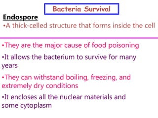 Bacteria Survival
Endospore
•A thick-celled structure that forms inside the cell

•They are the major cause of food poisoning
•It allows the bacterium to survive for many
years
•They can withstand boiling, freezing, and
extremely dry conditions
•It encloses all the nuclear materials and
some cytoplasm
 