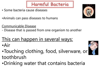 Harmful Bacteria
• Some bacteria cause diseases

•Animals can pass diseases to humans

Communicable Disease
- Disease that is passed from one organism to another

This can happen in several ways:
•Air
•Touching clothing, food, silverware, or
toothbrush
•Drinking water that contains bacteria
 