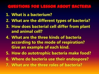 Questions for Lesson About Bacteria
1. What is a bacterium?
2. What are the different types of bacteria?
3. How does bacterial cell differ from plant
   and animal cell?
4. What are the three kinds of bacteria
   according to the mode of respiration?
   Give an example of each kind.
5. How do autotrophic bacteria make food?
6. Where do bacteria use their endospore?
7. What are the three roles of bacteria?
 