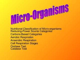 Nutritional Classification of Micro-organisms Reducing-Power Source Categories Carbons Based Categories Aerobic Respiration Anaerobic Respiration Cell Respiration Stages Oxidase Test Catalase Test Micro-Organisms 