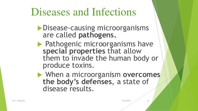 Micro organisms Micro organisms