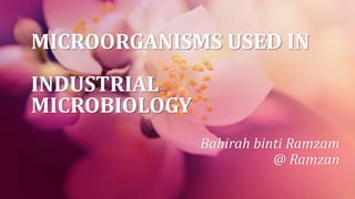 MICROORGANISMS USED IN
INDUSTRIAL
MICROBIOLOGY
Bahirah binti Ramzam
@ Ramzan
 