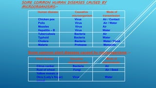 SOME COMMON HUMAN DISEASES CAUSED BY
MICROORGANISMS:-
Human disease Causative Mode of
microorganism transmission
Chicken pox Virus Air / Contact
Polio Virus Air / Water
Measles Virus Air
Hepatitis – B Virus Water
Tuberculosis Bacteria Air
Typhoid Bacteria Water
Cholera Bacteria Water / Food
Malaria Protozoa Mosquito
Some common plant diseases caused by microorganisms :-
Plant disease Causative Mode of
microorganism transmission
Citrus canker Bacteria Air
Rust of wheat Fungi Air / Seed
Yellow mosaic of
Okra (Lady’s finger) Virus Water
bhindi
 