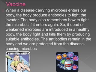When a disease-carrying microbes enters our
body, the body produce antibodies to fight the
invader. The body also remembers how to fight
the microbes if it enters again. So, if dead or
weakened microbes are introduced in a healthy
body, the body fight and kills them by producing
suitable antibodies. The antibodies remain in the
body and we are protected from the disease-
causing microbes
 