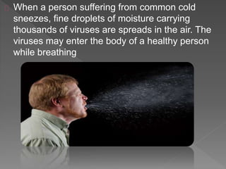 When a person suffering from common cold
sneezes, fine droplets of moisture carrying
thousands of viruses are spreads in the air. The
viruses may enter the body of a healthy person
while breathing
 