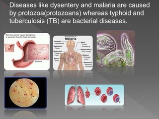 Diseases like dysentery and malaria are caused
by protozoa(protozoans) whereas typhoid and
tuberculosis (TB) are bacterial diseases.
Dysentery malaria protozoa
typhoid tuberculosis
 