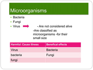 Microorganisms 
 Bacteria 
 Fungi 
 Virus - Are not considered alive 
-Are classified as 
microorganisms -for their 
small size 
Harmful: Cause illness Benefical effects 
Virus Bacteria 
bacteria Fungi 
fungi 
 