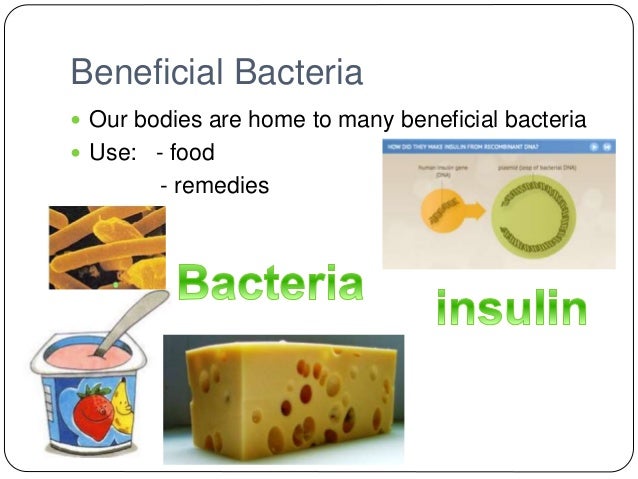 What are some beneficial uses for bacteria?