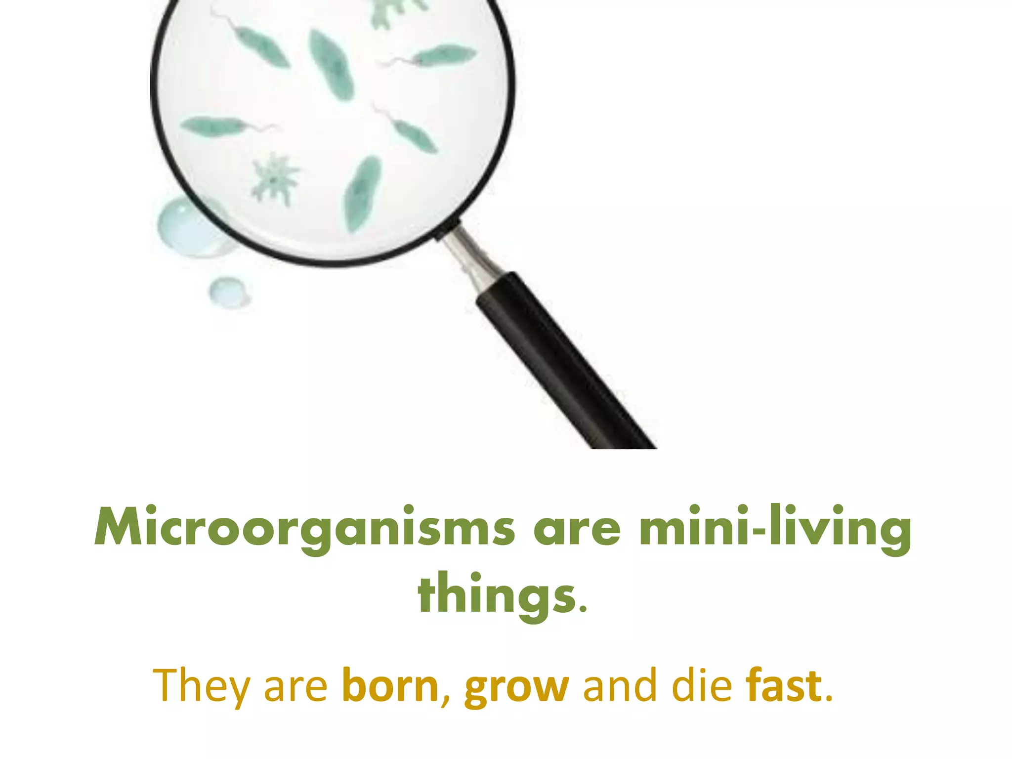 Microorganisms are mini-living
things.
They are born, grow and die fast.