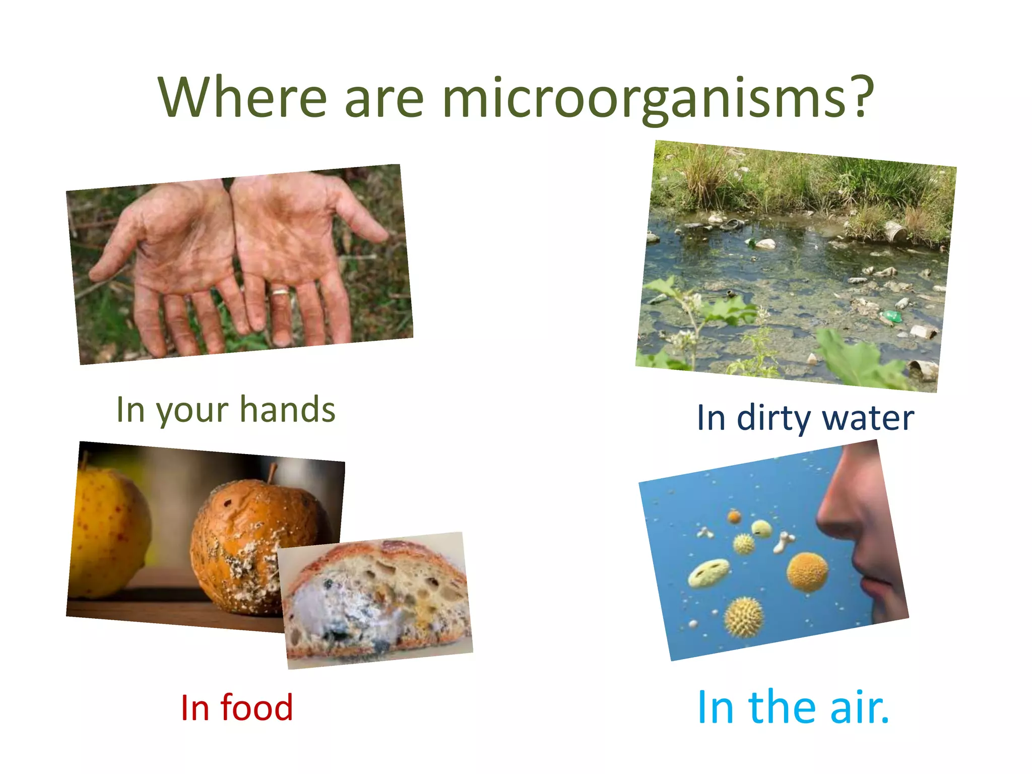 Where are microorganisms?
In your hands In dirty water
In food In the air.