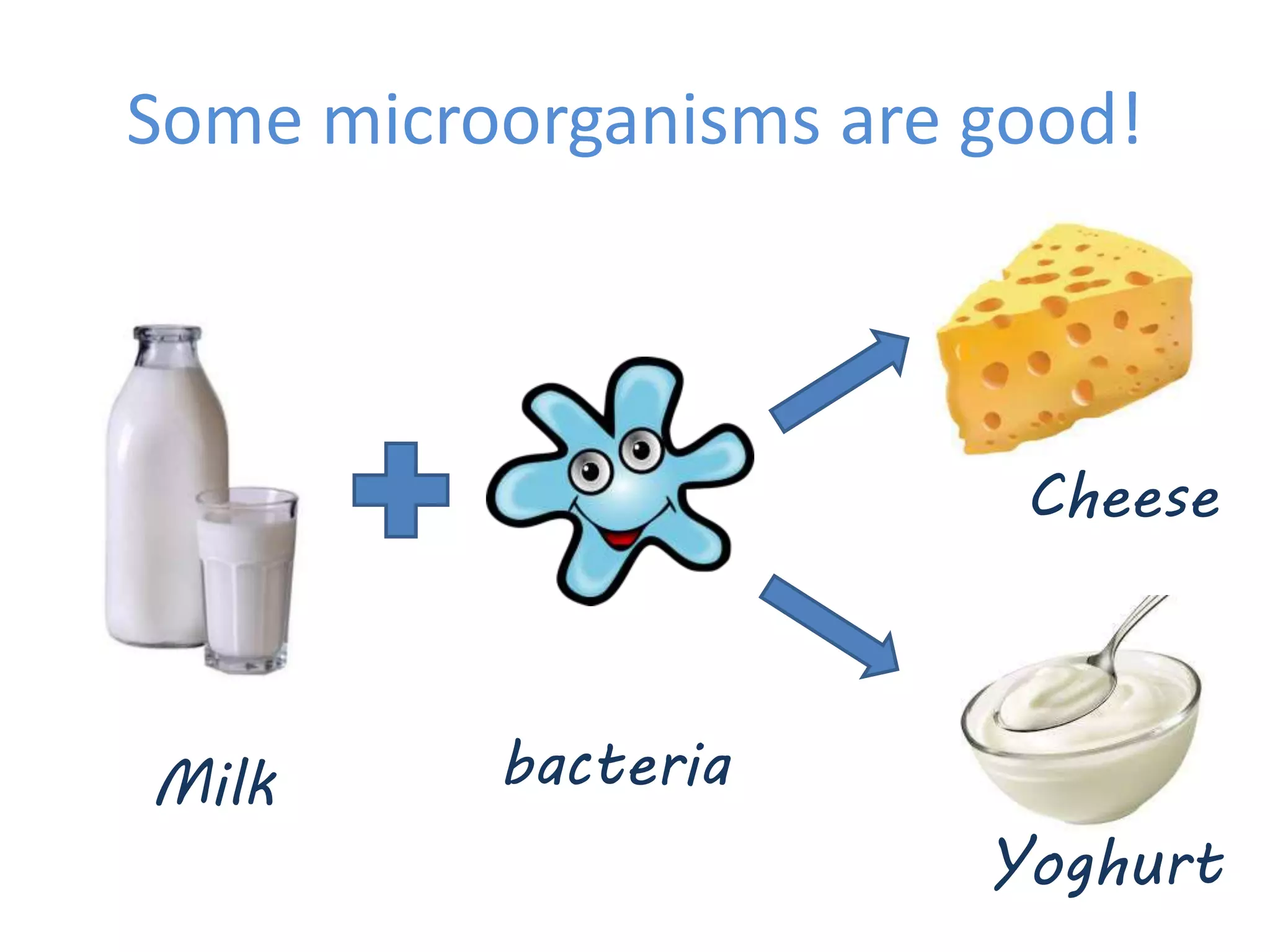 Some microorganisms are good!
Milk bacteria
Cheese
Yoghurt