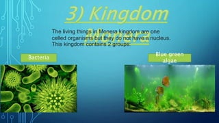 The living things in Monera kingdom are one
celled organisms but they do not have a nucleus.
This kingdom contains 2 groups:
Bacteria
Blue green
algae
 