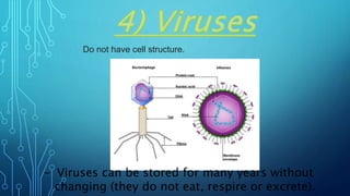 Do not have cell structure.
- Viruses can be stored for many years without
changing (they do not eat, respire or excrete).
 