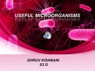 USEFUL MICROORGANISMS
DHRUV KISHNANI
S3 D
 