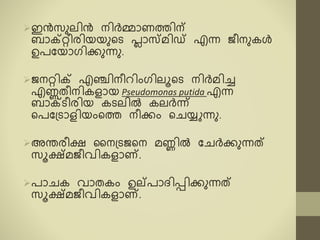 ഇൻസു ിൻ നിർെോണേിന്
ബോക്റ്റീരിയയുടെ പ്ലോസൈിഡ് എന്ന ജീനുരൾ
ഉപകയോഗിക്കുന്നു.
ജനറിക്റ് എഞ്ിനീറിംഗി ൂടെ നിർൈിച്ച
എണ്ണരീനിരളോയ Pseudomonas putida എന്ന
ബോക്റ്െീരിയ രെ ിൽ ര ർന്ന്
ടപക്െോളിയംടേ നീക്കം ടചയ്യുന്നു.
അന്തരീക്ഷ മന്െജടന ൈണ്ണിൽ കചർക്കുന്നത്
സൂക്ഷ്ൈജീവിരളോണ്.
പോചര വോരരം ഉല്പോദ്ിപ്പിക്കുന്നത്
സൂക്ഷ്ൈജീവിരളോണ്.
 