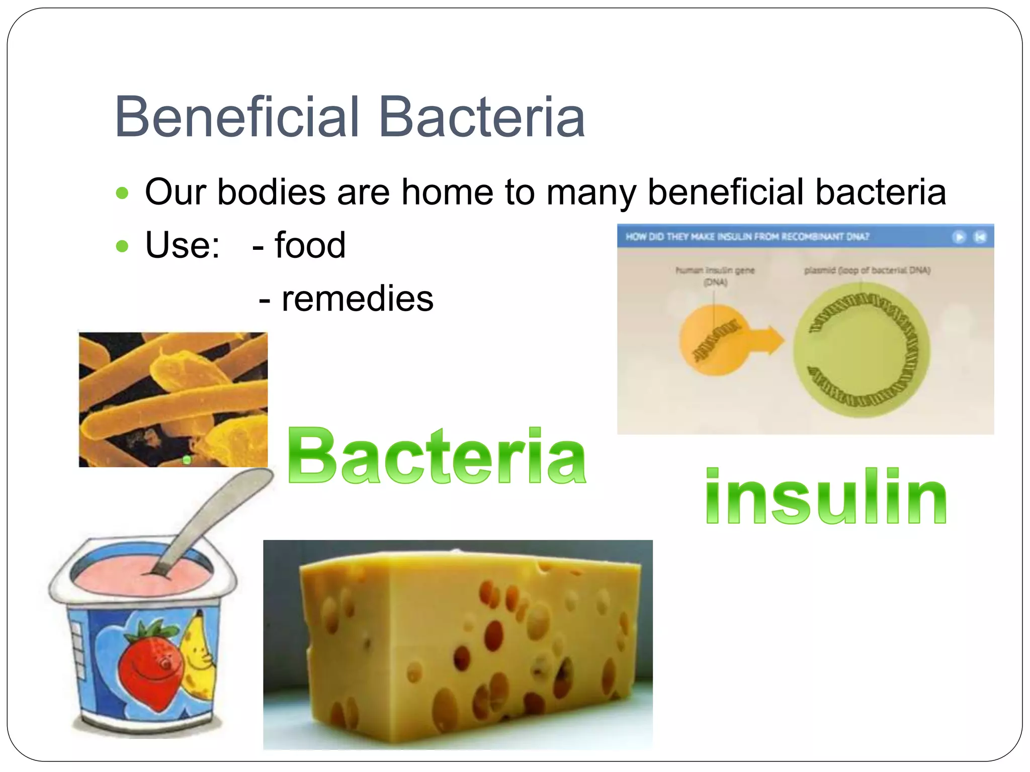 Beneficial Bacteria
 Our bodies are home to many beneficial bacteria
 Use: - food
- remedies
 