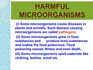 (i) Some microorganisms cause diseases in
plants and animals. Such disease causing
microorganisms are called pathogens.
(ii) Some microorganisms grow in food
substances and produce toxic substances
and makes the food poisonous. Food
poisoning causes illness and even death.
(iii) Some microorganisms spoil materials like
clothing, leather, wood etc.
 