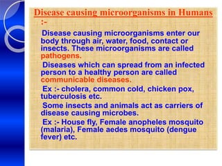 Disease causing microorganisms in Humans
:-
Disease causing microorganisms enter our
body through air, water, food, contact or
insects. These microorganisms are called
pathogens.
Diseases which can spread from an infected
person to a healthy person are called
communicable diseases.
Ex :- cholera, common cold, chicken pox,
tuberculosis etc.
Some insects and animals act as carriers of
disease causing microbes.
Ex :- House fly, Female anopheles mosquito
(malaria), Female aedes mosquito (dengue
fever) etc.
 