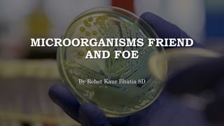 MICROORGANISMS FRIEND
AND FOE
By Rehet Kaur Bhatia 8D
 