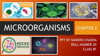 MICROORGANISMS
PPT BY NANDINI CHADHA
ROLL NUMBER 20
CLASS 8F
CHAPTER 2
 