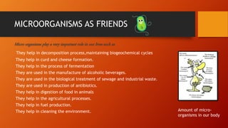 MICROORGANISMS AS FRIENDS
Micro organisms play a very important role in our lives such as
They help in decomposition process,maintaining biogeochemical cycles
They help in curd and cheese formation.
They help in the process of fermentation
They are used in the manufacture of alcoholic beverages.
They are used in the biological treatment of sewage and industrial waste.
They are used in production of antibiotics.
They help in digestion of food in animals
They help in the agricultural processes.
They help in fuel production.
They help in cleaning the environment. Amount of micro-
organisms in our body
 