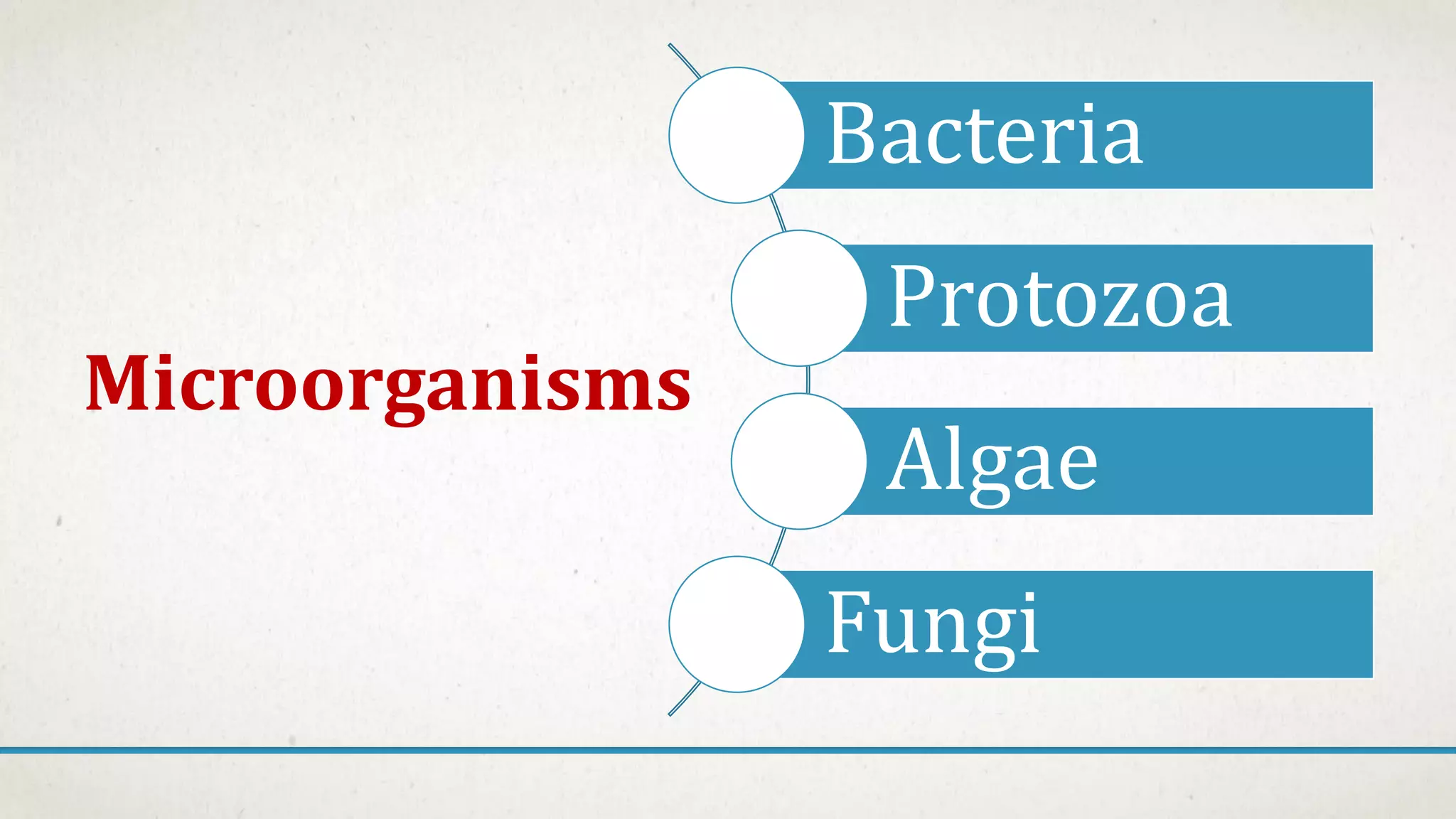 Microorganisms Class 8 | PDF