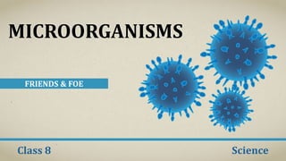 MICROORGANISMS
FRIENDS & FOE
Class 8 Science
 