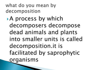 MICRO ORGANISMS.pptx