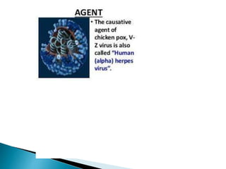 MICRO ORGANISMS.pptx